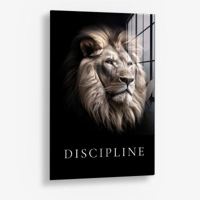 Discipline – Vidrio