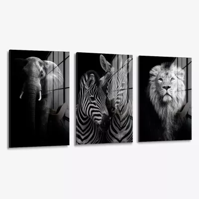 Bundle: "Safari" (3x) – Vidrio