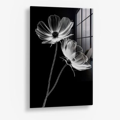 X-Ray Flowers – Vidrio