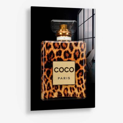 COCO Leo – Vidrio