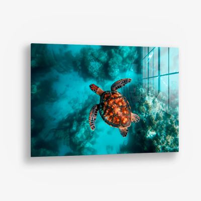 Sea Turtle HZ – Vidrio