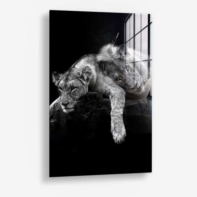 Lion Love – Vidrio
