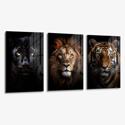 Bundel: "Big Cats" (3x) – Vidrio