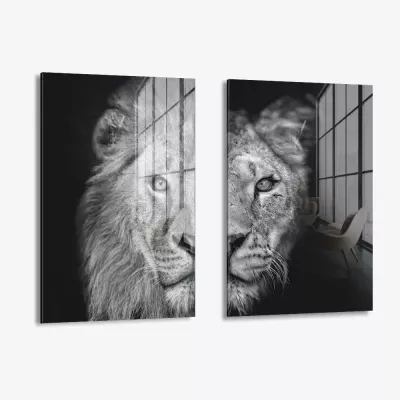 Bundle: "Wild Mirror" (2x) – Vidrio