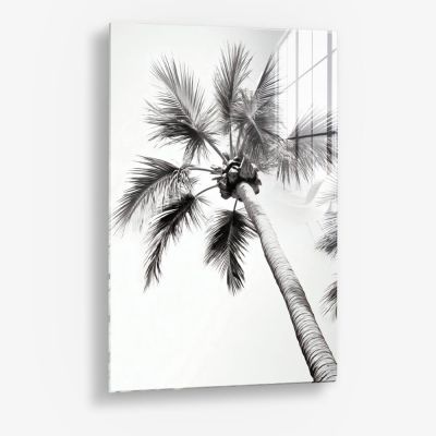 Beachy Palm - Vidrio