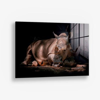 Rhino – Vidrio