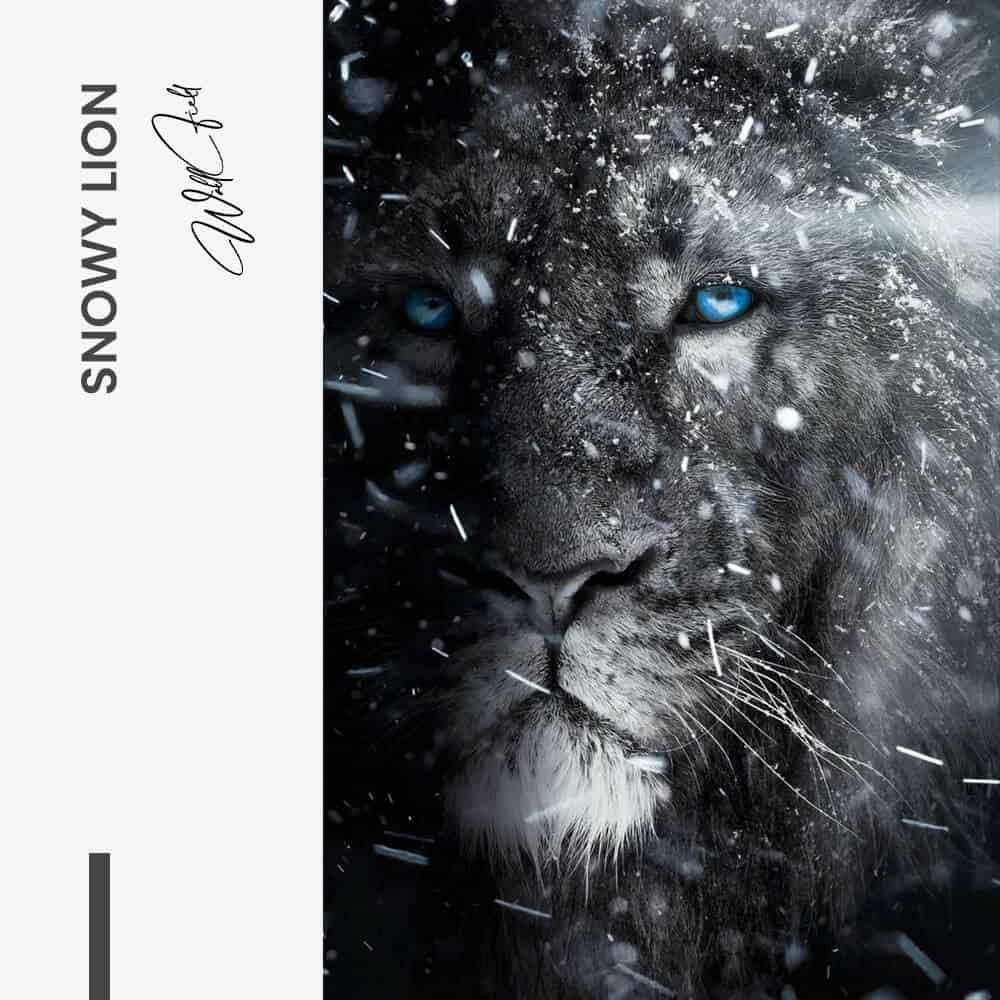 Snowy Lion - glass