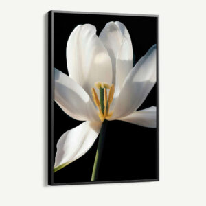 1.-Cvas-Detail-1-White-Flower
