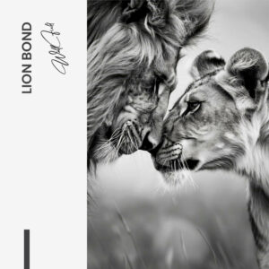 11.-Design-signature-Lion-Bond