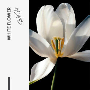 11.-Design-signature-White-Flower