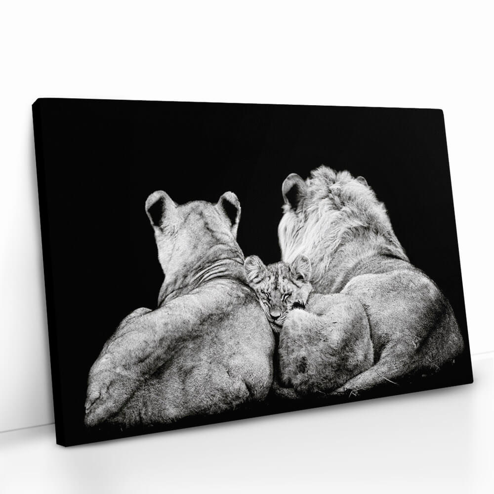 2.-Cvas-Detail-5-The-Lion-Family-III
