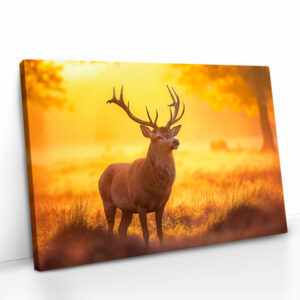2.-Cvas-Detail-5-Deer