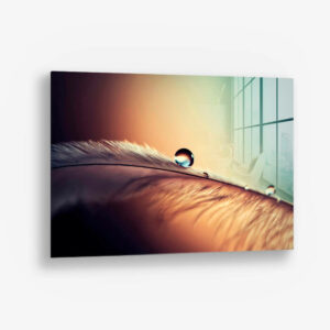 8.-Glass-Detail-1-Waterdrop
