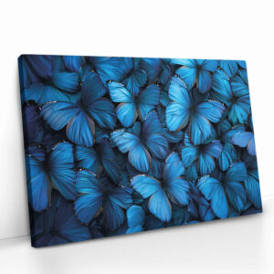 2.-Cvas-Detail-5-Butterfly-Sea