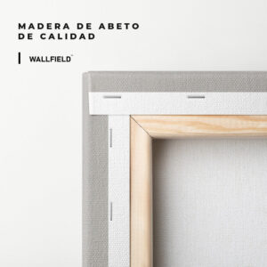 5.-Cvas-Detail-3-Desert-Carrera
