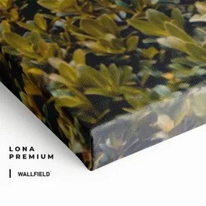 4.-Cvas-Detail-2-RR-Obsidian-Code